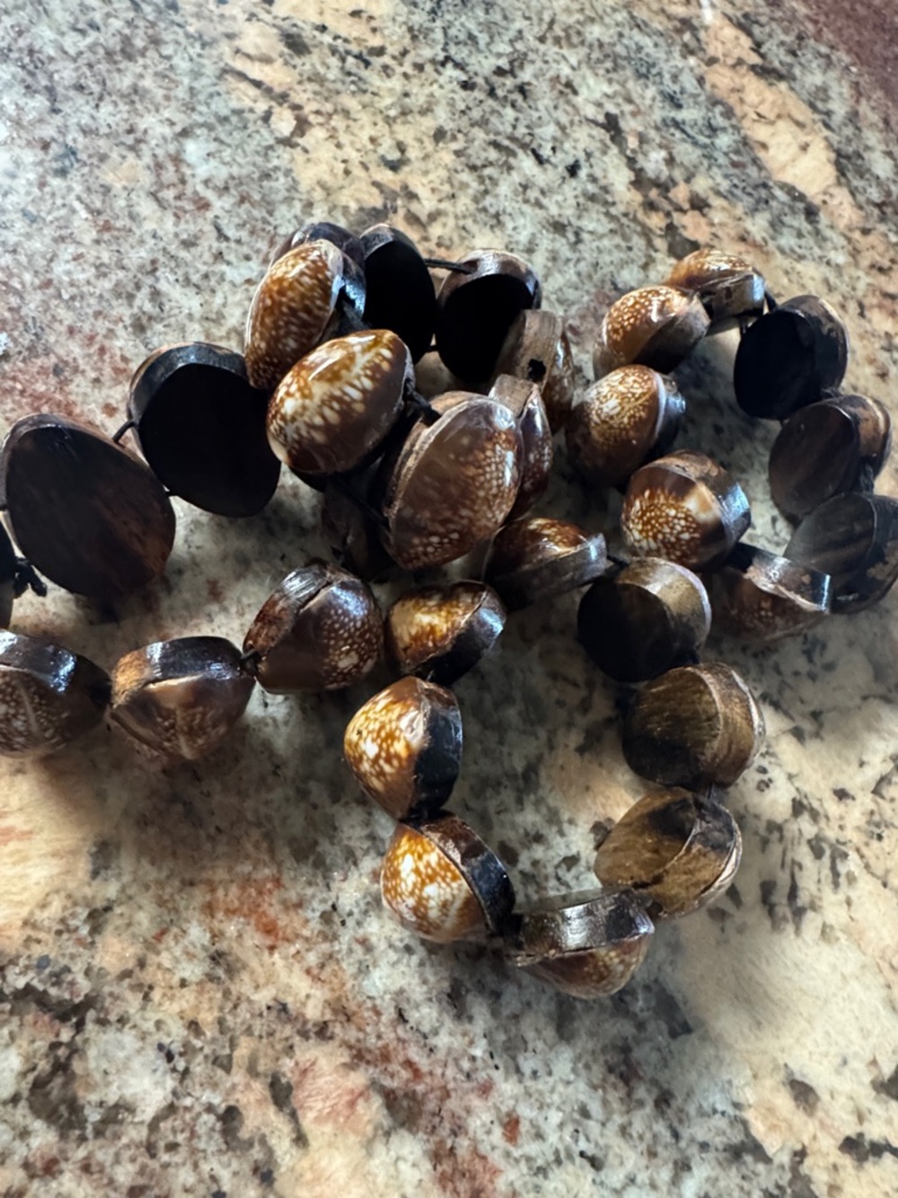Natural Brown Shell napkin rings